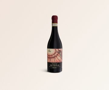 Amarone DOCG Re Pazzo Terre di Leone - 750ml