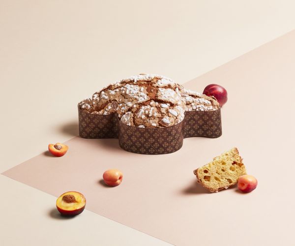 Colomba Pesca e albicocca Pasticceria Giotto