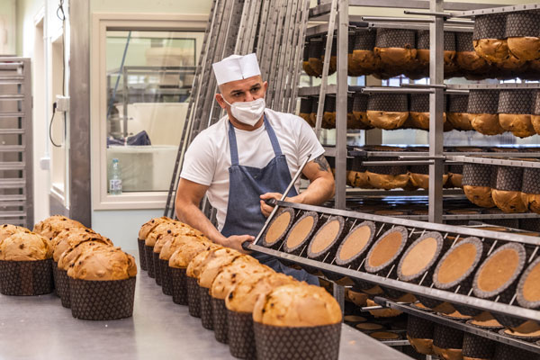 panettone artigianale 2